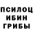 Галлюциногенные грибы прущие грибы Carcan Studios