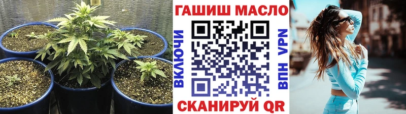 ТГК концентрат  мега сайт  Торжок 