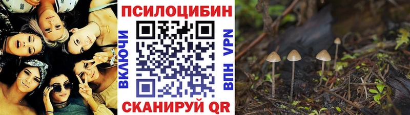Псилоцибиновые грибы GOLDEN TEACHER  Торжок 